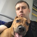 ���������� �����-���������, ���� ������� �����, 36 ���, ������������ ��� ����� � ���������, c�������� ���������