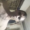 ���������� ���������, ���� ������� �����, 38 ���, ������������ ��� ������, ����� � ���������, ���������