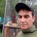  ,   , 50 ,   ,   