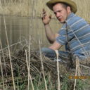 ���������� �����, ���� ������� ����, 39 ���, ������������ ��� ������