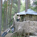  ,   , 60 ,   ,   , c 