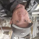  ,   , 45 ,   ,   