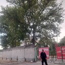 ���������� �����������, ���� ������� �����, 41 ���, ������������ ��� ������, ����� � ���������, c�������� ���������