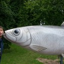  Praha,   Vsevolod, 36 ,   ,   , c 