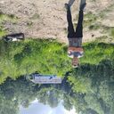 ���������� ������ ��������, ���� ������� ������, 31 ���, ������������ ��� ������, ����� � ���������