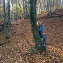 ���������� �����������, ���� ������� ��������, 62 ����, ������������ ��� ������, ����� � ���������, c�������� ���������