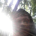  ,   , 40 ,   ,   , c 