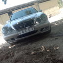  ,   Elaman, 33 ,   