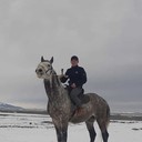 ���������� ������, ���� ������� �����, 36 ���, ������������ ��� ������, ����� � ���������, c�������� ���������