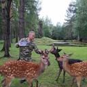 ���������� ������, ���� ������� �������, 53 ����, ������������ ��� ������, ����� � ���������