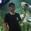 ���������� ������, ���� ������� �������, 37 ���, ������������ ��� ������, ����� � ���������, c�������� ���������, ���������