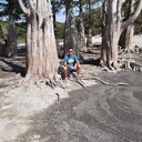 ���������� ����, ���� ������� ������, 43 ����, ������������ ��� ������, ����� � ���������, ���������