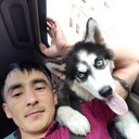 ���������� ������, ���� ������� ���������, 35 ���, ������������ ��� ������, ����� � ���������, c�������� ���������