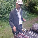 ���������� ����, ���� ������� Arzu, 43 ����, ������������ ��� ������