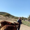  ,   , 45 ,   ,   , c , 