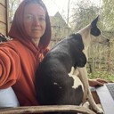 ���������� ������, ���� ������� �������, 42 ����, ������������ ��� c�������� ���������