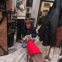 ���������� ������, ���� ������� �������, 55 ���, ������������ ��� ������, ����� � ���������, c�������� ���������