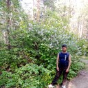  ,   , 53 ,     , c 