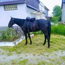  ,   Abraham, 50 ,   ,   , c , 