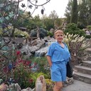  ,   , 54 ,   ,   