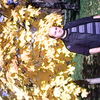 ,   Abdul, 52 ,   