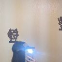 ���������� ������, ���� ������� ����, 22 ����, ������������ ��� ������, ����� � ���������, ���������