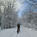 ���������� �������, ���� ������� ���������, 46 ���, ������������ ��� c�������� ���������