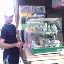 ���������� �������, ���� ������� ��������, 39 ���, ������������ ��� ������, ����� � ���������, c�������� ���������