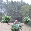 ���������� ���������, ���� ������� �����, 39 ���, ������������ ��� ������, ����� � ���������