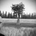 ���������� ������, ���� ������� ���������, 33 ����, ������������ ��� ������, ����� � ���������