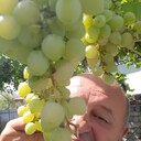  ,   , 62 ,   ,   , c , 