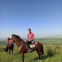 ���������� ������, ���� ������� ��������, 29 ���, ������������ ��� ������, ����� � ���������, c�������� ���������