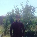 ���������� �����, ���� ������� JIVAN, 28 ���, ������������ ��� ������, ����� � ���������, c�������� ���������, ���������