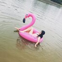   ,   , 33 ,     , c , 