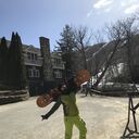 ���������� �����������, ���� ������� Alexander, 40 ���, ������������ 