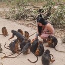 ���������� ������, ���� ������� Marina, 40 ���, ������������ ��� ������, ����� � ���������