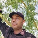 ���������� ������, ���� ������� �����, 44 ����, ������������ ��� ������, ����� � ���������