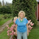  -,   , 66 ,   c 