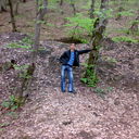 ���������� ����, ���� ������� Elsen, 36 ���, ������������ ��� ������