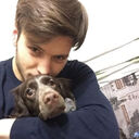 ���������� �������, ���� ����� ������, 23 ����, ������������ ��� ������, ����� � ���������, c�������� ���������, ���������