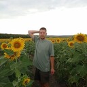 ���������� ������, ���� ������� ����� ����, 38 ���, ������������ ��� ������, ����� � ���������, c�������� ���������, ���������