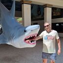 ���������� �����������, ���� ������� �����, 36 ���, ������������ ��� ������, ����� � ���������