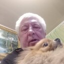 ���������� �����������, ���� ������� ���������, 66 ���, ������������ ��� ������, ����� � ���������, c�������� ���������