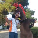 ���������� �����, ���� ������� ����, 53 ����, ������������ ��� c�������� ���������