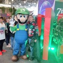 ���������� ������-��-����, ���� ������� ����, 29 ���, ������������ ��� ������, ����� � ���������, c�������� ���������