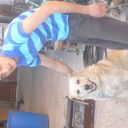 ���������� ������, ���� ������� Abo, 37 ���, ������������ ��� ������