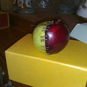 ���������� �������, ���� ������� Shaxruz, 37 ���, ������������ ��� ������, ����� � ���������, c�������� ���������