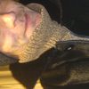  -,   , 49 ,   