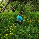 ���������� ������, ���� ������� �������, 52 ����, ������������ ��� ����� � ���������, c�������� ���������