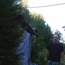  ,   , 38 ,   
